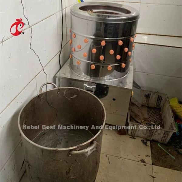 Poultry Farm Slaughterhouse 1100w Chicken Feather Plucking Machine In Nigeria Doris