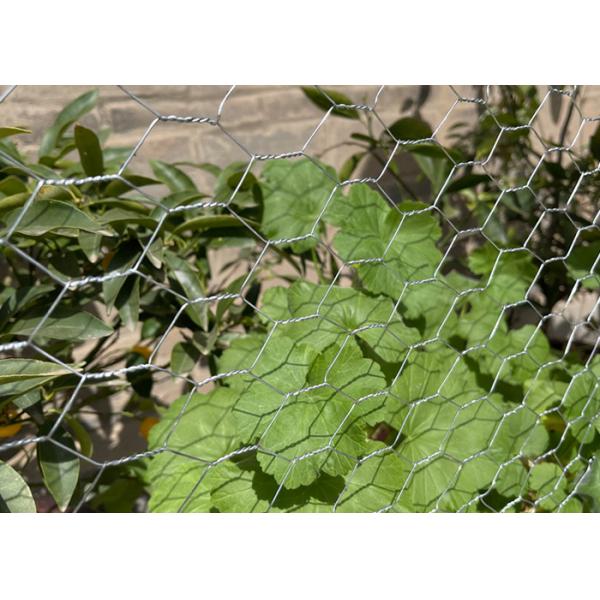 China 0.4mm-1.5mm Diameter Hexagon Wire Mesh Galvanized Iron wholesale