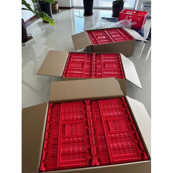 Foldable PP Mesh Crate Box Design for Convenient Storage of Fruits and Vegetables