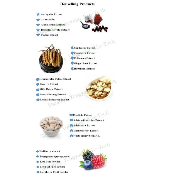 Rhubarb Root P.E. RHB-Anthraquinones 50% UV；10：1, Chinese Manufacturer , top quality
