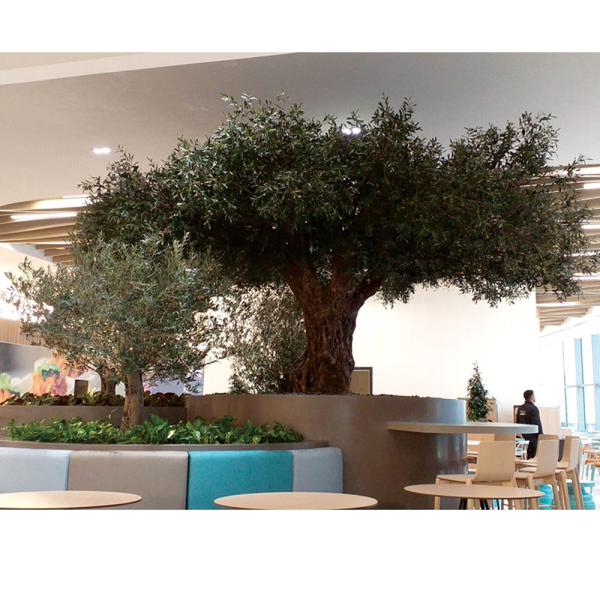Factory Price Large Artificial Olive Tree, a Large Ornamental Fiberglass Tree for Indoor Restaurants and Shopping Malls