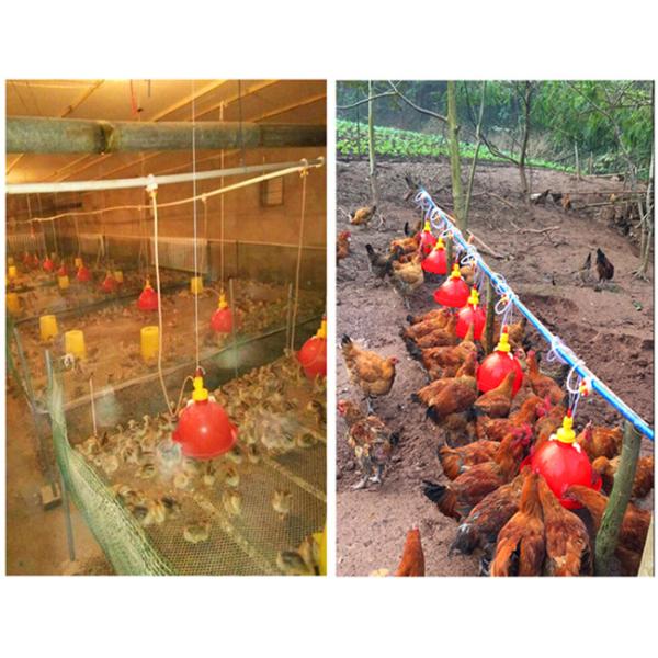 38cm Poultry Water Drinkers Nestable Plasson Broiler Drinker