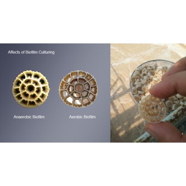 Biofilm Reactor Fish Pond MBBR Filter Media 100% Virgin HDPE Material