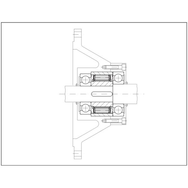 FXN31-17/60 Internal Freewheels 1 Way Sprag Backstop Clutch