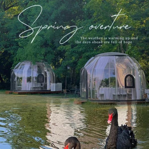China Outdoor Glamping Luxury PC Geodesic Dome Homes Prefabricated House Dome Tent wholesale