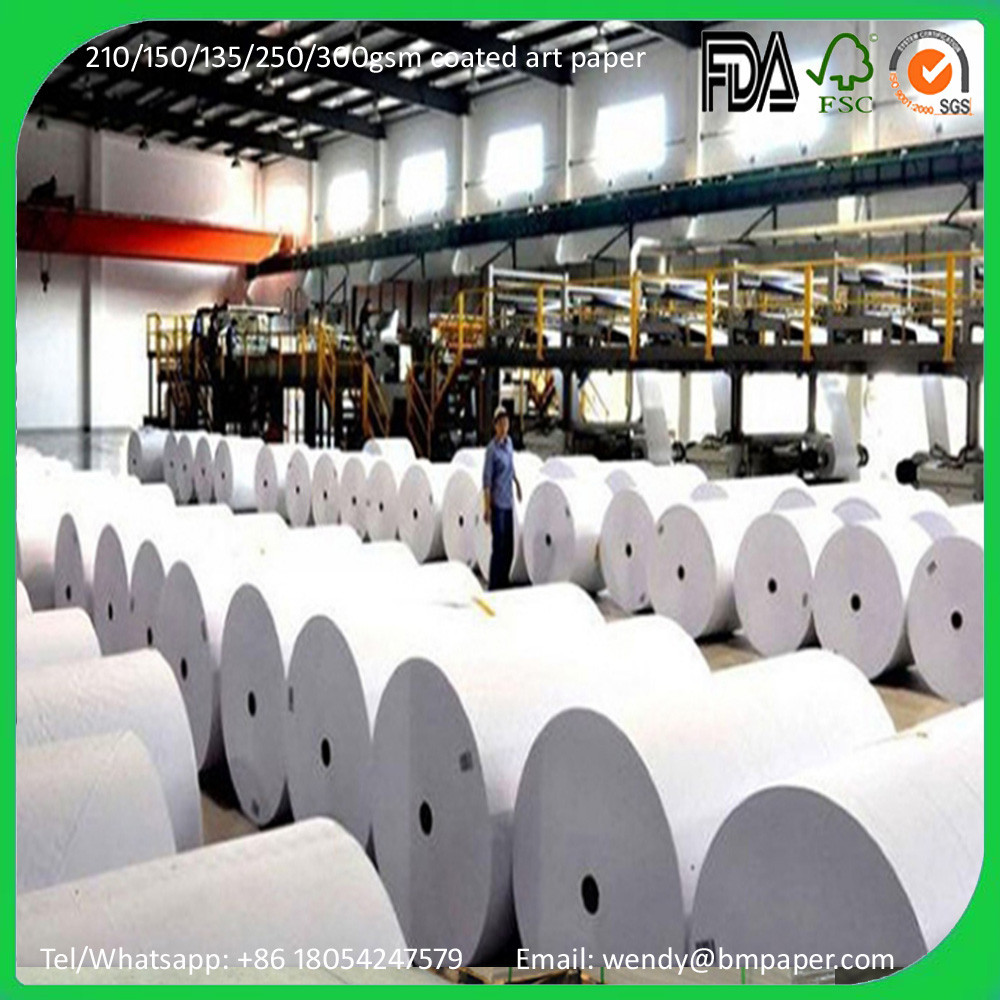 China 115gsm 840mm Width Mat Couche Paper wholesale