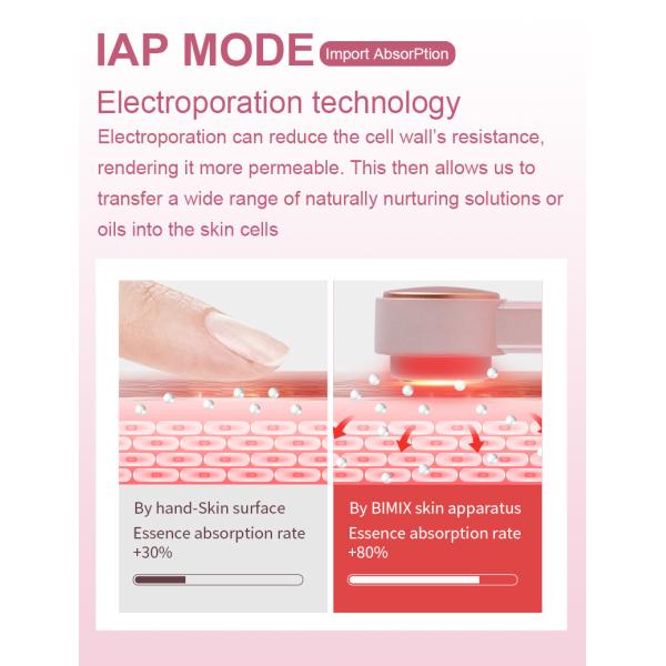 OEM ODM Service Skin Rejuvenation 5.5Watt RF Facial Device