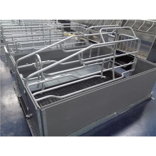 Light Structure Hog Farrowing Crates , Pig Birthing Pens Corrosion Resistance
