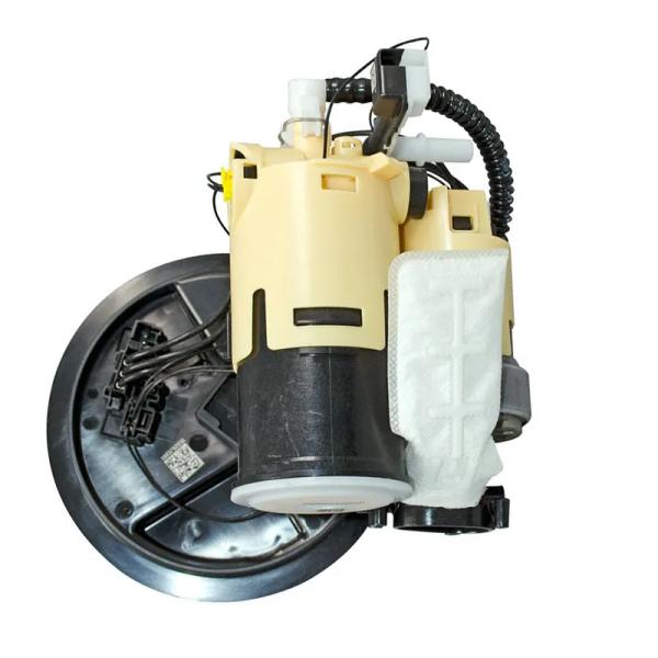 2054701594 OE Number XINLONG LION Glossy Fuel Pump Assembly for Mercedes-Benz C-Class