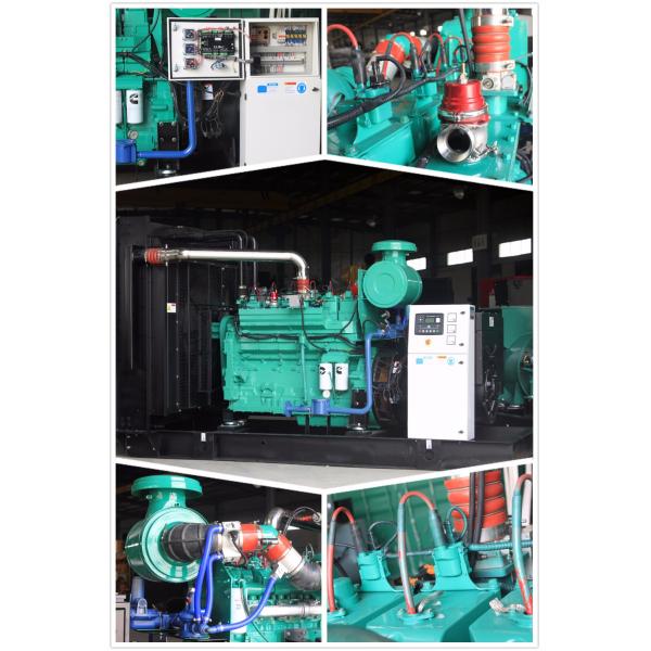10KW 300KVA Cummins Biogas Power Natural Gas Standby Generator That Run On Natural Gas 50Hz