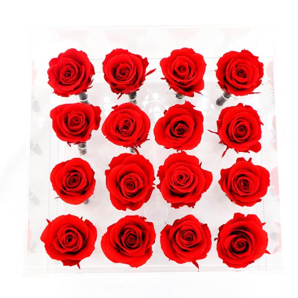 Red Real Forever Rose , Real Flowers That Last Forever For Wedding Decoration