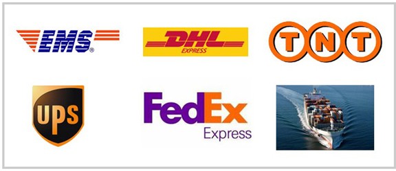 Xinchai NB485BPG Diesel Engine Fuel Injection Pump 4Q250ZH-1 BH4Q75R8 for HELI Forklift