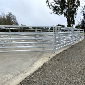 China Garden Fence Galvanized Steel Tube Sheep Yard Panels wholesale