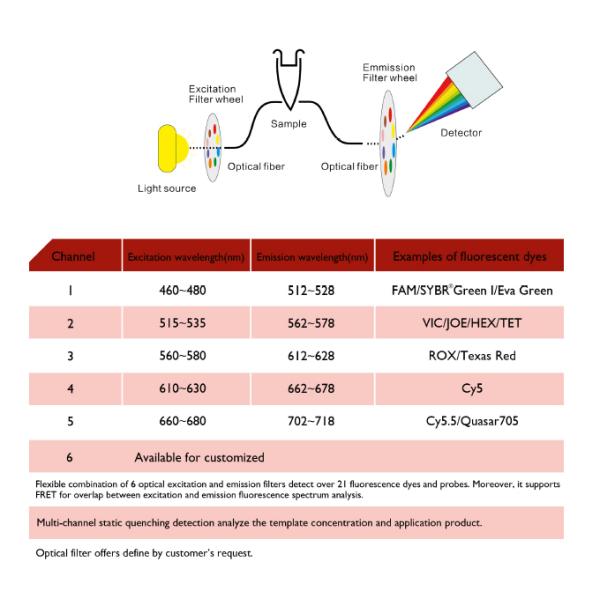 MSDS Nucleic Acid Extraction Machine , MA6000 Real time Quantitative PCR Machine