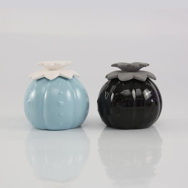 Concise Style Ceramic Flower Diffuser / Fragrance Flower Diffuser Air Fresheners