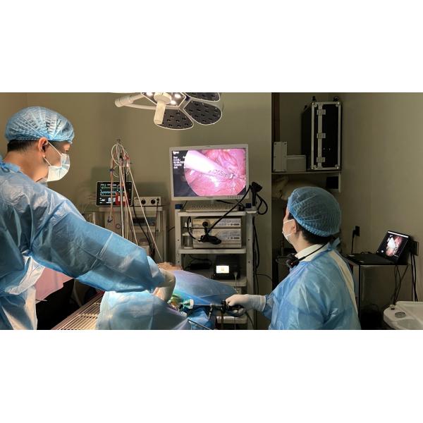 Veterinary Ultrasonic Scalpel System for Pets Surgery Ligasure Instruments