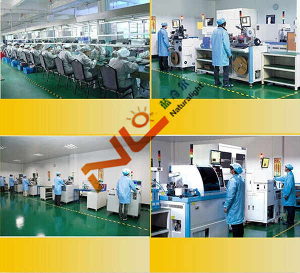 CE ROHS led outdoor light