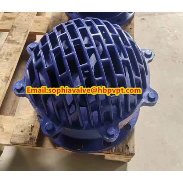 resilient seal cast iron flanged foot valve