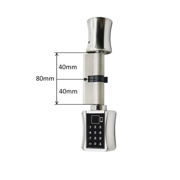 Zinc Alloy Wireless Biometric Fingerprint Door Lock Password Smart Door Lock