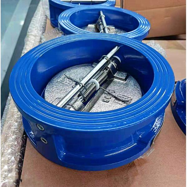 8 Inch DN150 DN300 Ductile Iron DI SS304 Stainless Steel Cf8m Duo Plate Disc Type Wafer Dual Check Valve