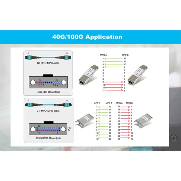 12 Core 24 Core MPO MTP Loopback SC LC OM3 Multimode Fiber Optic Loopback