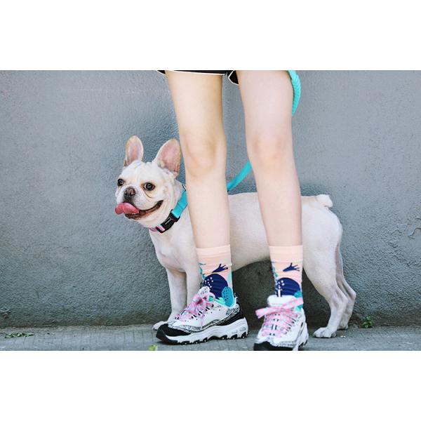 X Small Adjustable Cute Christmas Martingale Dog Collars Reflective Collars For Stray Dogs