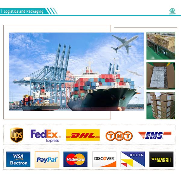 Single Use COA Scalp Vein Set No 22 For Vein Infusion