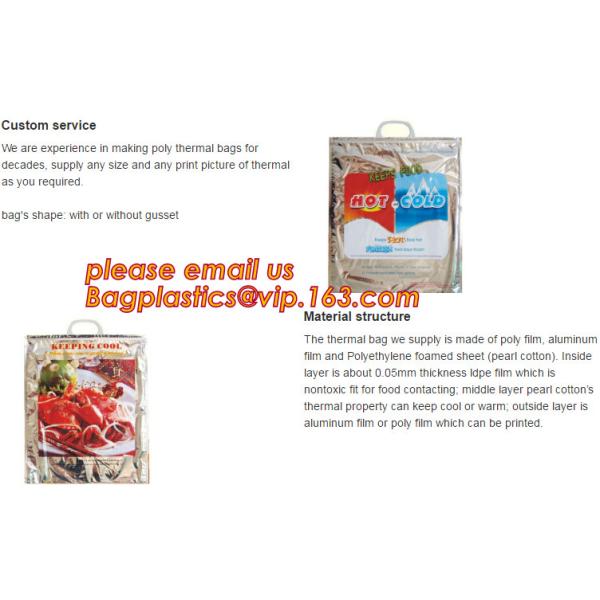 Foldable Lunch Insulated Cooler Bag Heated Food Delivery Bag Thermal Pizza Delivery Cooler Bag