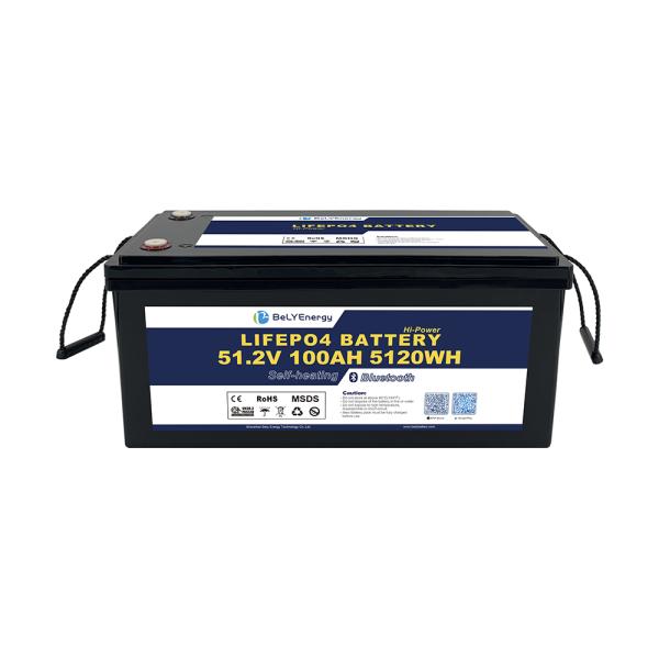 48V LiFePO4 Battery With Smart BMS For Environmentally Friendly Solutions
