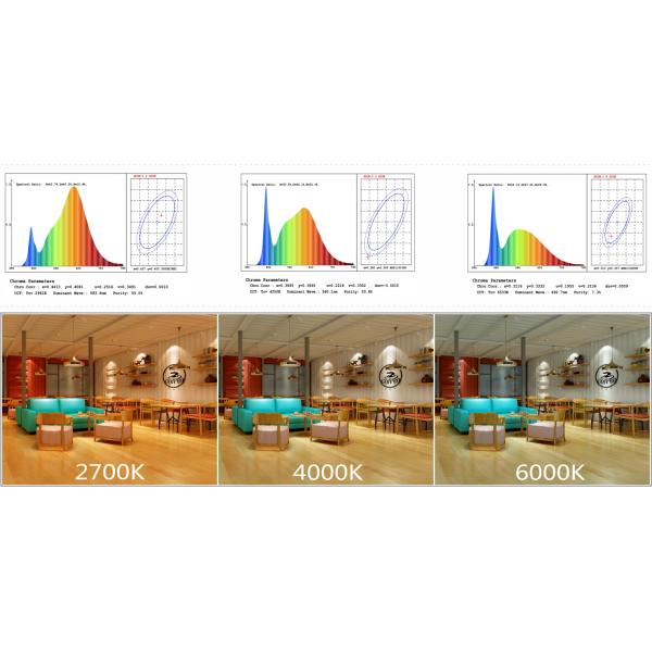 8w Compatible Lighting Design Dimming Cob Led Different Color Temperatures Turnable