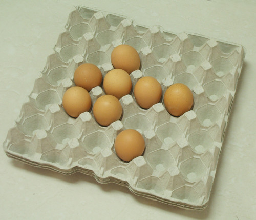 Semi Automatic Egg Box Forming Machine 440V Tray Making Waste Paper