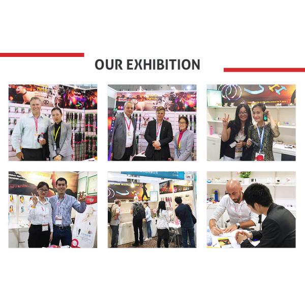 Light Up LED Dog Leash , 120cm Size Large Adjustable Safety Pet Leash