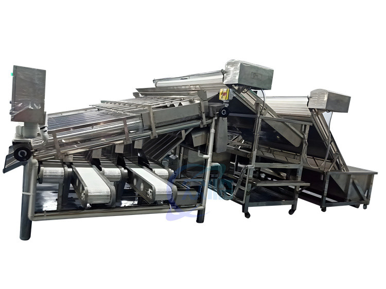 China 4900W Shrimp Grading Machine Roller Control Anti Erosion Automatic wholesale