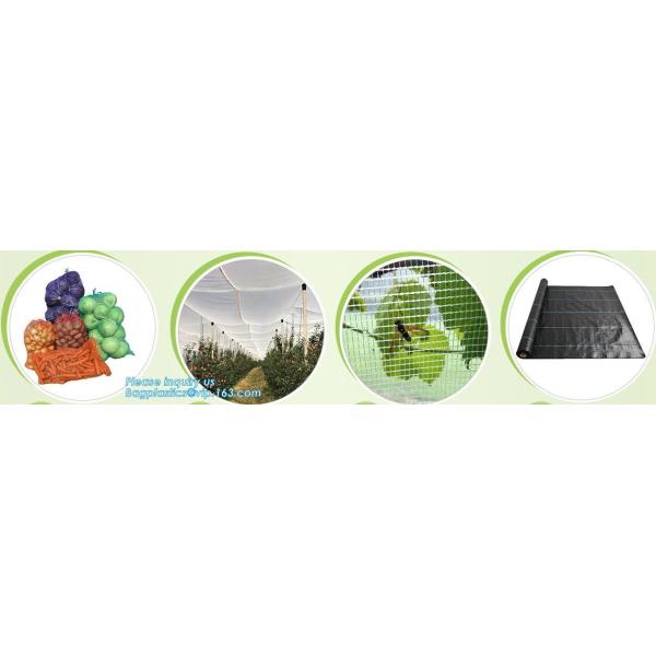 Eco-friendly FDA Certificate Plastic Vegetable Pack Raschel Mesh Bag,pe raschel net bag&pp raschel mesh bag