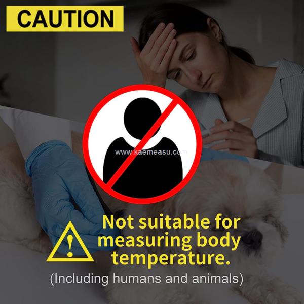 Kaemeasu Hand Held Thermometer Gun Class 1 Laser Safety Laser Temp Gun OEM ODM