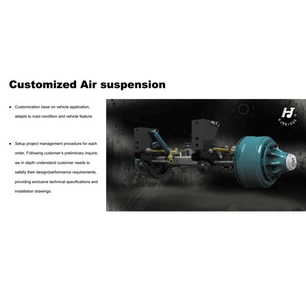 ISO9001 General Europe Type Air Suspension Parts 10T Eco Drum Brake