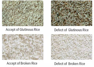 Mini Rice Color Sorting Machine Color Sorter For Yellow/Bastami Rice With Best Quality By Wenyao