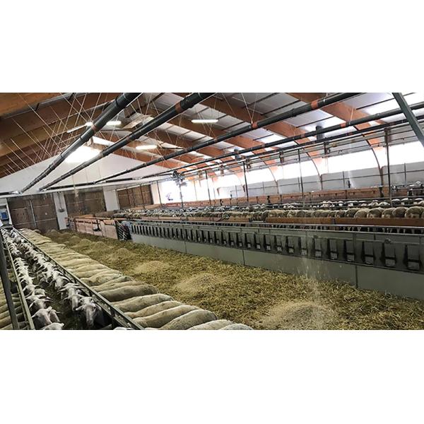 Prefab Steel Structure Sheep Shed Farm Building Design made of Q235 Low Carbon Steel