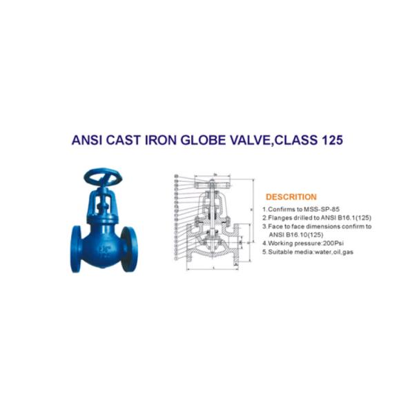 Cast Iron Valve Body Casting Check Control Water Plug Double Flange WCB Globe Valve