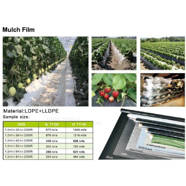 Garden used tomato plastic film cover,high light transmittance solar control seeding nursery greenhouse covers,100% virg