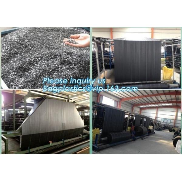 Garden used tomato plastic film cover,high light transmittance solar control seeding nursery greenhouse covers,100% virg