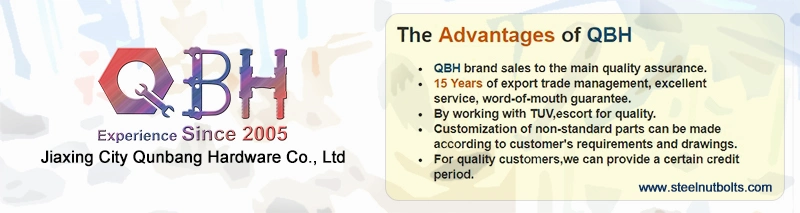 ISO9001 Photovoltaic Roof Hook For Curfed Roof Tile