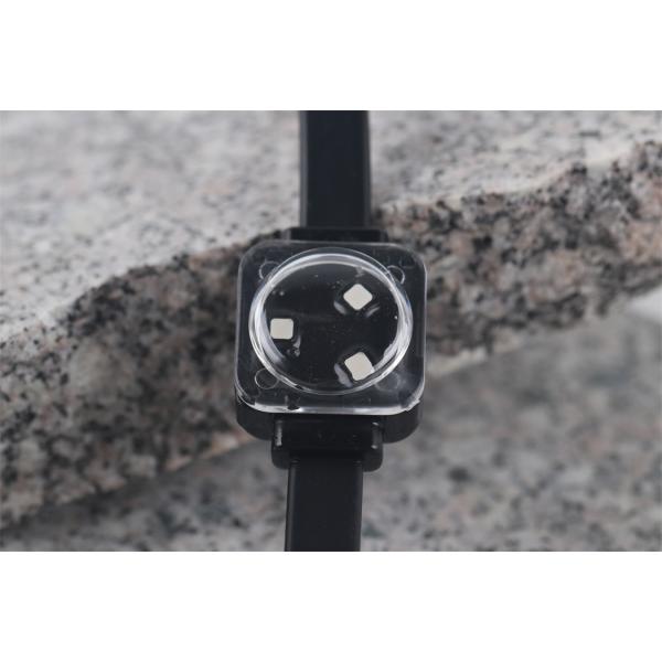 Miracle Bean SMD3535 Waterproof RGB LED Point Light IP67 DC12V 25mm