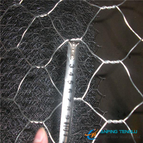 Low Cost Gabion Mesh/Gabion Box With Galvanized Wire, PVC Coated Wire