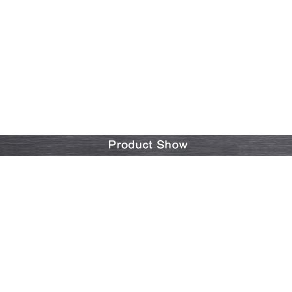 Sprag Clutch AS (NSS TSS) One Way Clutch