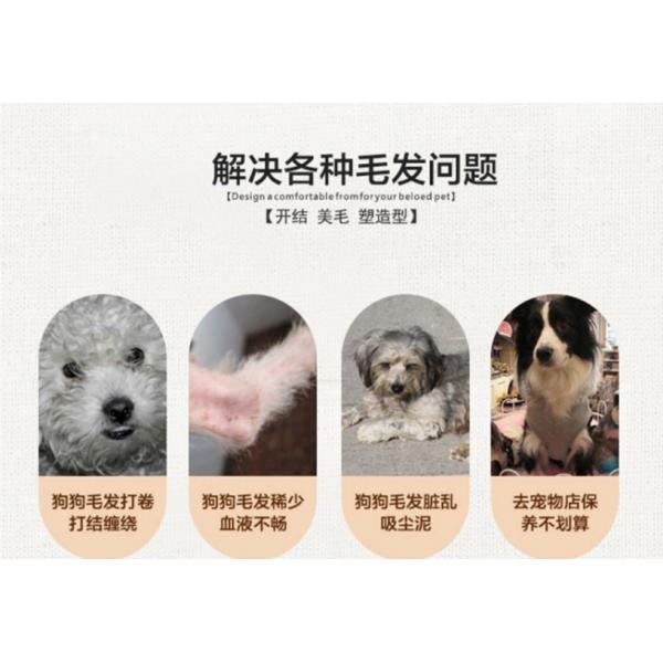 Puppy Combs Non-slip handles Pet needles, Combs for dogs and cats, Dogs Dogs for brushes Beauty supplies, Pet combs