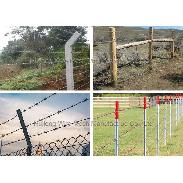 5" Spacing, Heavy Galvanized Barbed Wire for Farm Fencing Applicated with Hinge Joint Fence