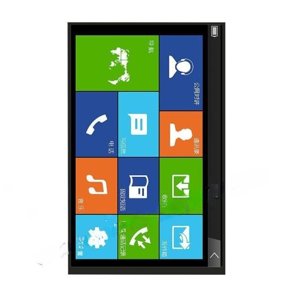 10.1 inch TFT display module 1200X1920 resolution 40 PINS MIPI interface 450c/d