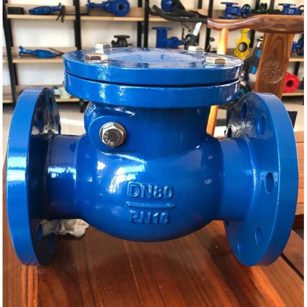 cast iron DIN resilient seal flanged check valve