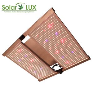 2 Channels Full Spectrum Osram 730nm 3x3 Led Grow Light